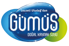 Gümüş logosu